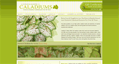 Desktop Screenshot of caladiumsonline.com